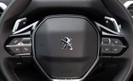  Peugeot 3008